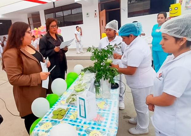 Miniatura galería 1